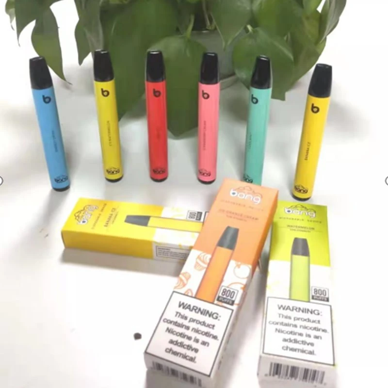 Bang Mini 800 Puffs bir martalik vape
