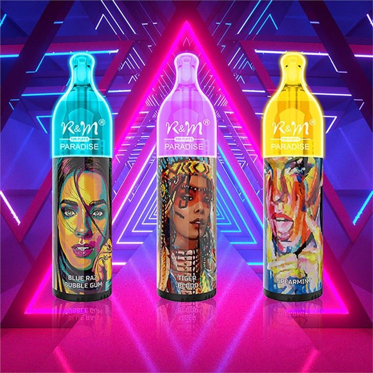 R&M Paradise 10000 Puffs bir martalik vape