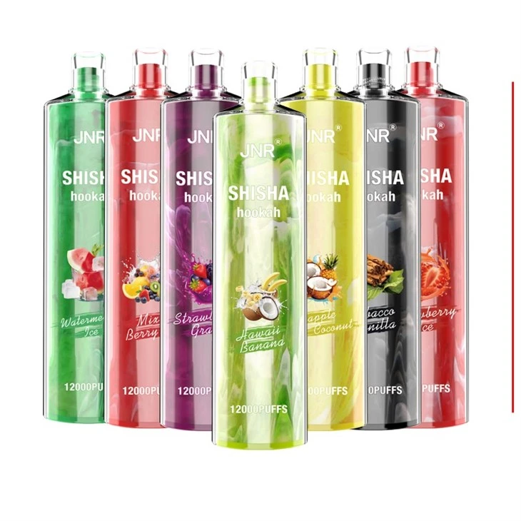 JNR ShiSha 12000 puflar