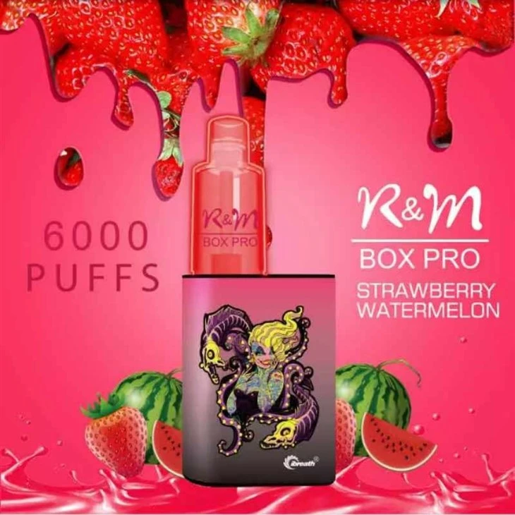 R&M BOX PRO 6000 vapes