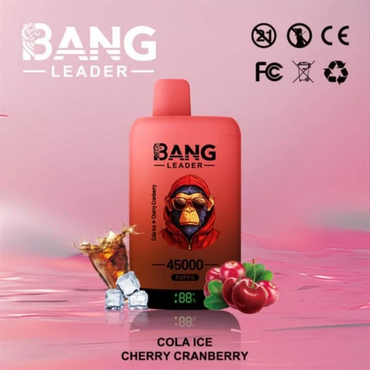 bang leader 45000 3