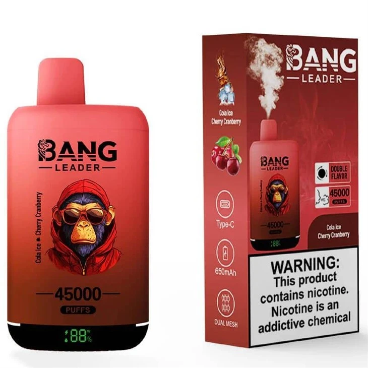 Bang_Leader_45K_bang leader 45000