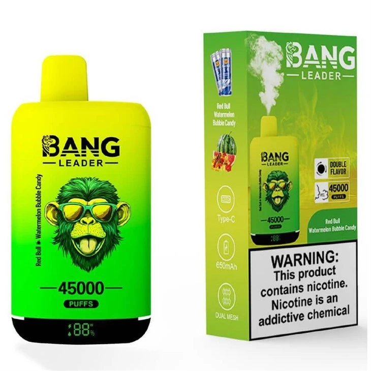 Bang_Leader_45K_5