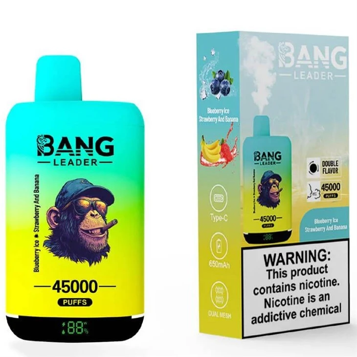 Bang_Leader_45K_3