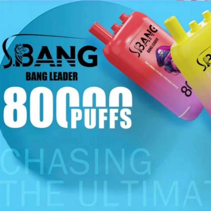 Bang lideri 80000 3 1 ga