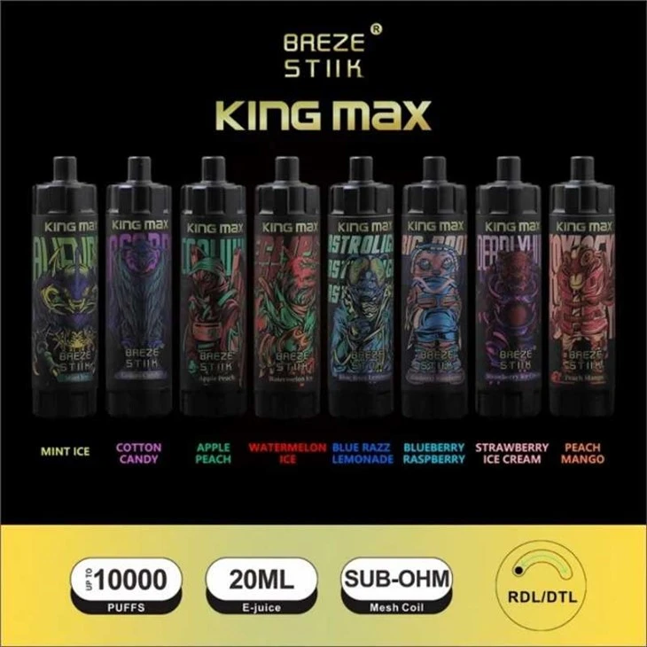Breze Stiik King Max 10000 puf