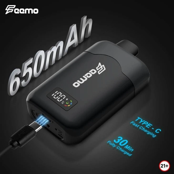 Feemo GEMINI PRO 28000 8