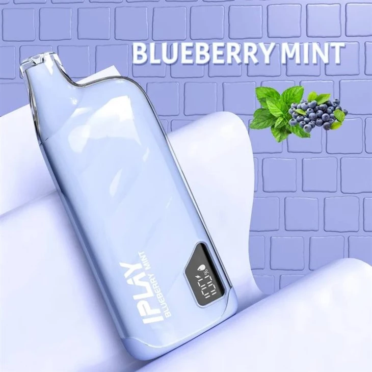 BlueberryMint_IPLAY XBOX PRO 10000