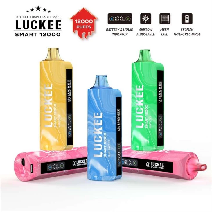 LUCKEE SMART 12000