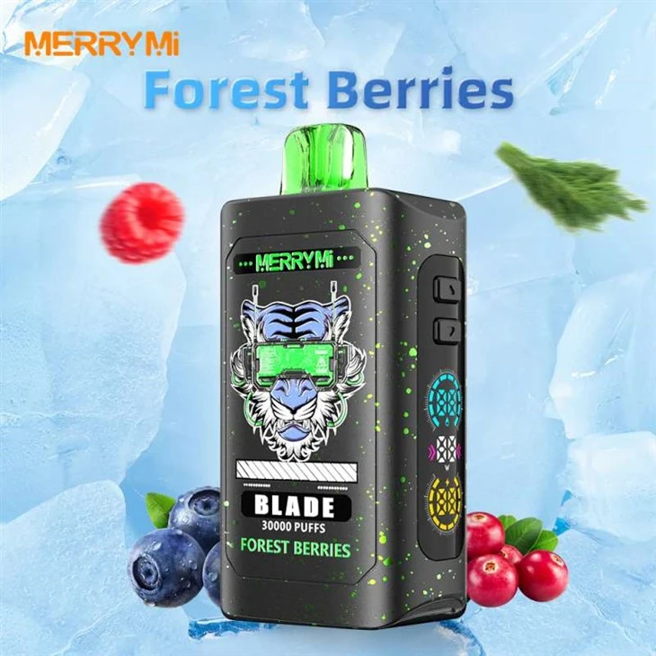 Quvnoq Mi Blade 30K puflar