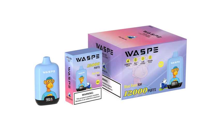WASPE Digital Box 12000 24