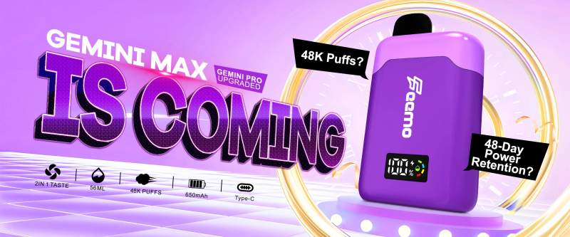 Feemo GEMINI PRO 28000 31
