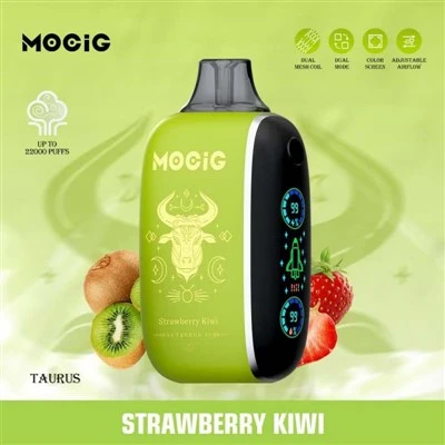 Mocg TP22000 Vape