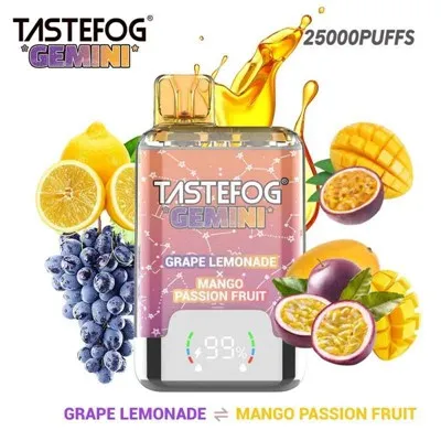 Tastefe Gemini 25000 puffs