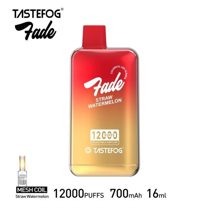 TASTEFOG FADE 12000 13