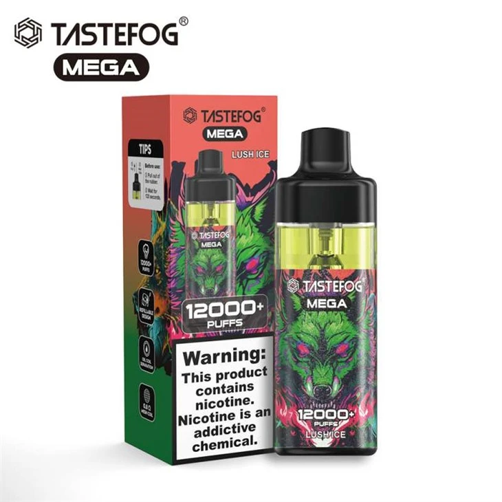 TASTEFOG MEGA 12000 puflar