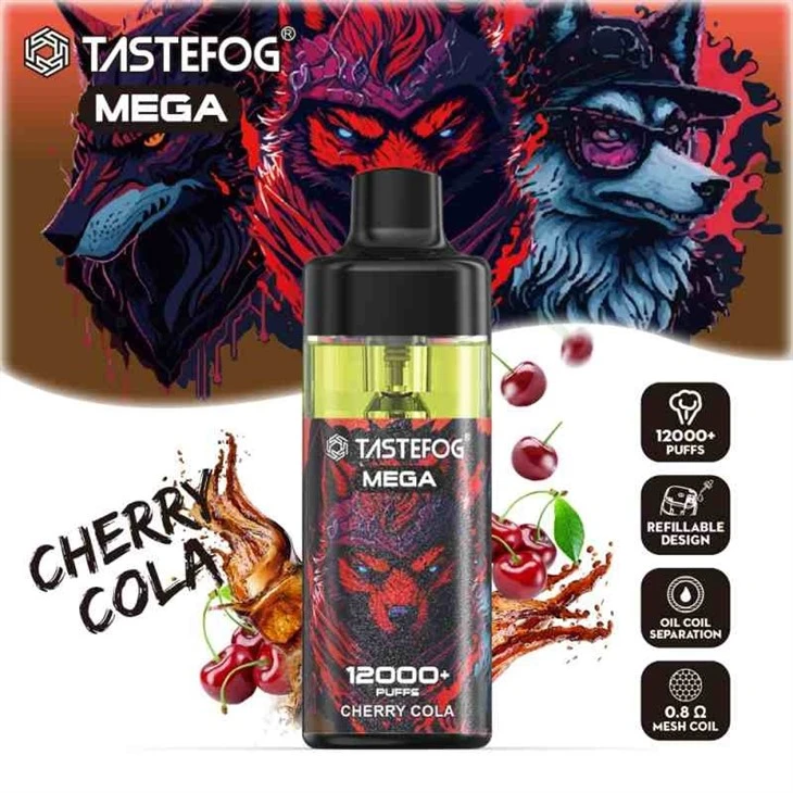 TASTEFOG MEGA 12000 22
