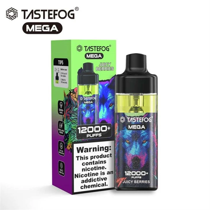 TASTEFOG MEGA 12K puflar