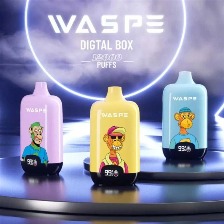 WASPE raqamli qutisi 12000